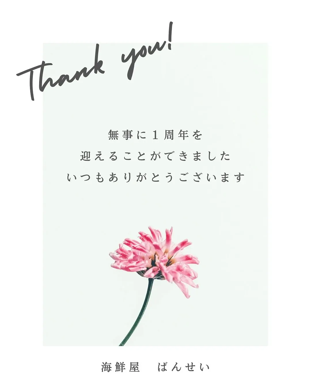 ✨《１周年を迎えました》✨